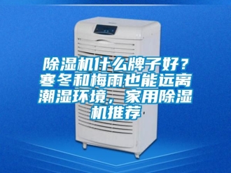 常見問題除濕機什么牌子好？寒冬和梅雨也能遠離潮濕環境，家用除濕機推薦