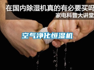 知識百科空氣凈化恒濕機