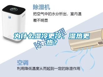 知識百科為什么濕冷更冷、濕熱更熱？