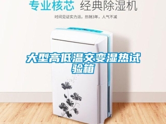 常見問題大型高低溫交變濕熱試驗箱