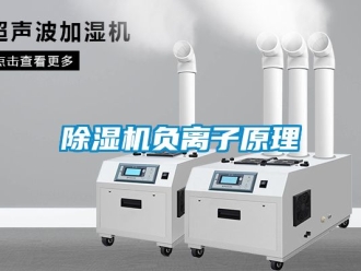 行業(yè)新聞除濕機(jī)負(fù)離子原理
