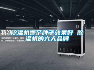 企業(yè)新聞除濕機(jī)哪個牌子效果好 除濕機(jī)的六大品牌
