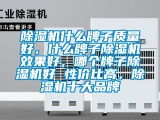 企業新聞除濕機什么牌子質量好，什么牌子除濕機效果好，哪個牌子除濕機好 性價比高，除濕機十大品牌