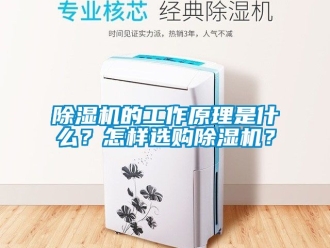 企業新聞除濕機的工作原理是什么？怎樣選購除濕機？