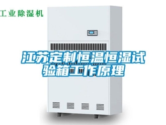 知識百科江蘇定制恒溫恒濕試驗箱工作原理