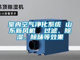 常見問題室內(nèi)空氣凈化系統(tǒng) 山東新風(fēng)機(jī)  過濾、除濕、除味等效果