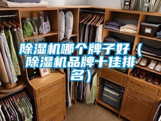 企業新聞除濕機哪個牌子好（除濕機品牌十佳排名）