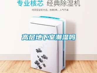 企業新聞高層地下室潮濕嗎