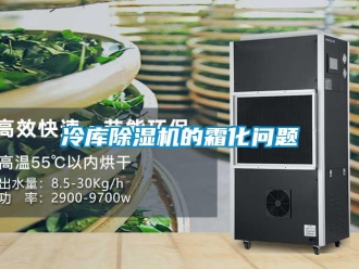 常見問題冷庫除濕機的霜化問題