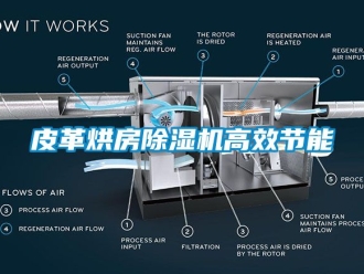 行業新聞皮革烘房除濕機高效節能