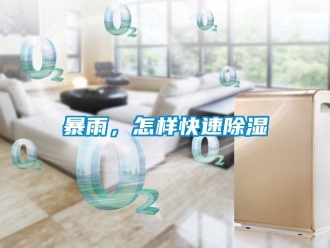 常見問題暴雨，怎樣快速除濕