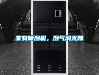 行業新聞家有除濕機，濕氣消無蹤
