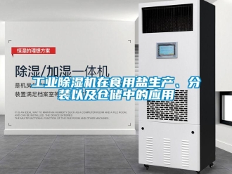 企業(yè)新聞工業(yè)除濕機在食用鹽生產、分裝以及倉儲中的應用