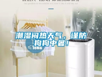 企業新聞潮濕悶熱天氣，謹防狗狗中暑！