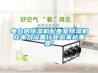 企業(yè)新聞電力房除濕機(jī)配電室除濕機(jī)在電力設(shè)備行業(yè)越來(lái)越重要！