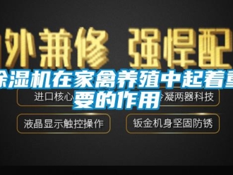 企業新聞除濕機在家禽養殖中起著重要的作用