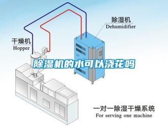 企業新聞除濕機的水可以澆花嗎