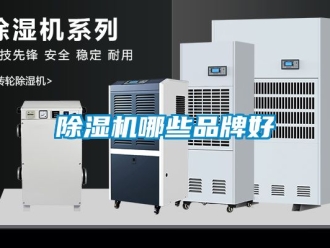 企業(yè)新聞除濕機(jī)哪些品牌好