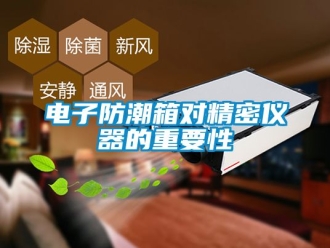 常見問題電子防潮箱對精密儀器的重要性