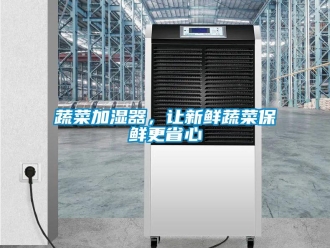 知識百科蔬菜加濕器，讓新鮮蔬菜保鮮更省心