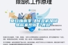 夏日梅雨季，除濕機加儲物前來幫你“渡劫”