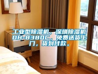 常見問題工業型除濕機，深圳除濕機DH-8380C，免費送貨上門，貨到付款。