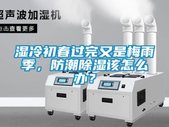 常見問題濕冷初春過完又是梅雨季，防潮除濕該怎么辦？