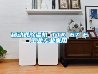 常見問題移動式除濕機 TTK 67 E工業(yè)專業(yè)家用