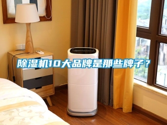 企業新聞除濕機10大品牌是那些牌子？