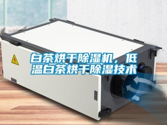 常見問題白茶烘干除濕機，低溫白茶烘干除濕技術