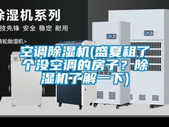 行業新聞空調除濕機(盛夏租了個沒空調的房子？除濕機了解一下)