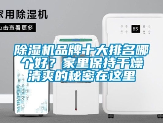 企業新聞除濕機品牌十大排名哪個好？家里保持干燥清爽的秘密在這里