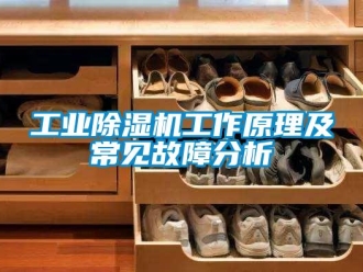 企業新聞工業除濕機工作原理及常見故障分析
