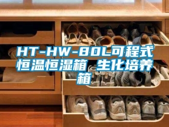 常見問題HT-HW-80L可程式恒溫恒濕箱 生化培養箱
