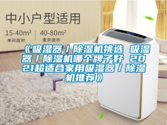 常見問題《吸濕器／除濕機挑選 吸濕器／除濕機哪個牌子好 2021超適合家用吸濕器／除濕機推薦》
