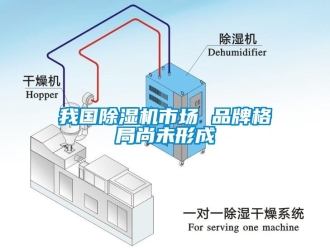 知識百科我國除濕機市場 品牌格局尚未形成
