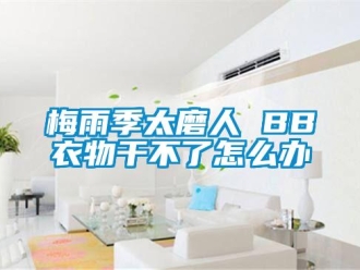 常見問題梅雨季太磨人 BB衣物干不了怎么辦