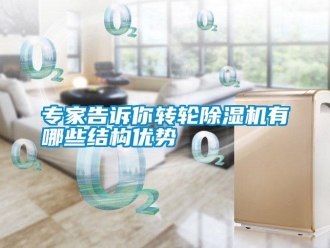 知識(shí)百科專家告訴你轉(zhuǎn)輪除濕機(jī)有哪些結(jié)構(gòu)優(yōu)勢(shì)