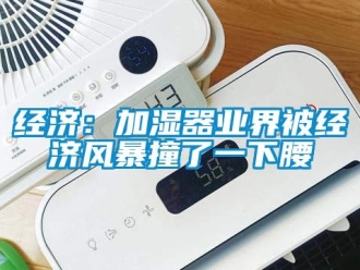 行業新聞經濟：加濕器業界被經濟風暴撞了一下腰