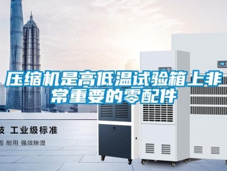 常見問題壓縮機是高低溫試驗箱上非常重要的零配件