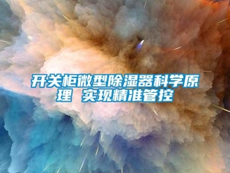 行業(yè)新聞開關(guān)柜微型除濕器科學(xué)原理 實現(xiàn)精準(zhǔn)管控