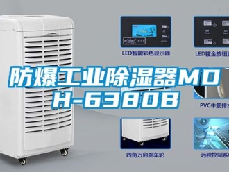 行業(yè)新聞防爆工業(yè)除濕器MDH-6380B