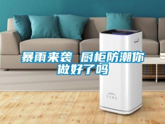 常見問題暴雨來襲 廚柜防潮你做好了嗎