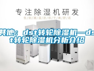 常見問題其他：dst轉輪除濕機—dst轉輪除濕機分析介紹