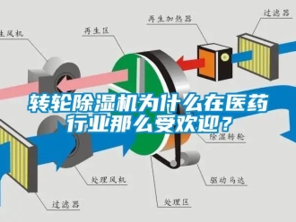 常見問題轉(zhuǎn)輪除濕機(jī)為什么在醫(yī)藥行業(yè)那么受歡迎？