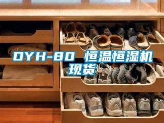 常見問題DYH-80 恒溫恒濕機現貨