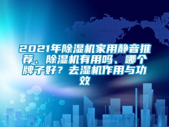 常見問題2021年除濕機家用靜音推薦、除濕機有用嗎、哪個牌子好？去濕機作用與功效