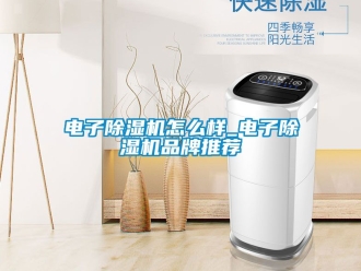 企業(yè)新聞電子除濕機怎么樣_電子除濕機品牌推薦
