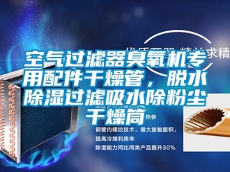 行業(yè)新聞空氣過濾器臭氧機(jī)專用配件干燥管，脫水除濕過濾吸水除粉塵干燥筒