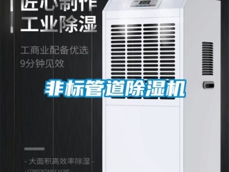 行業新聞非標管道除濕機
